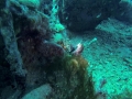 GOPR0518_20141213151947_0