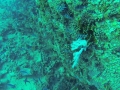 GOPR0522_20141123171914_0